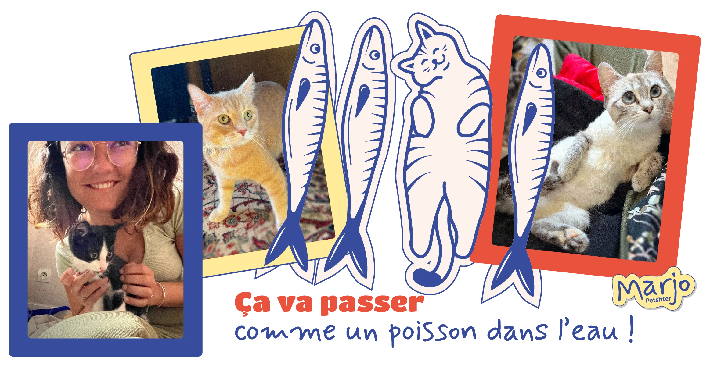 Marjo-petsiter_petsitter-chat-saint-malo