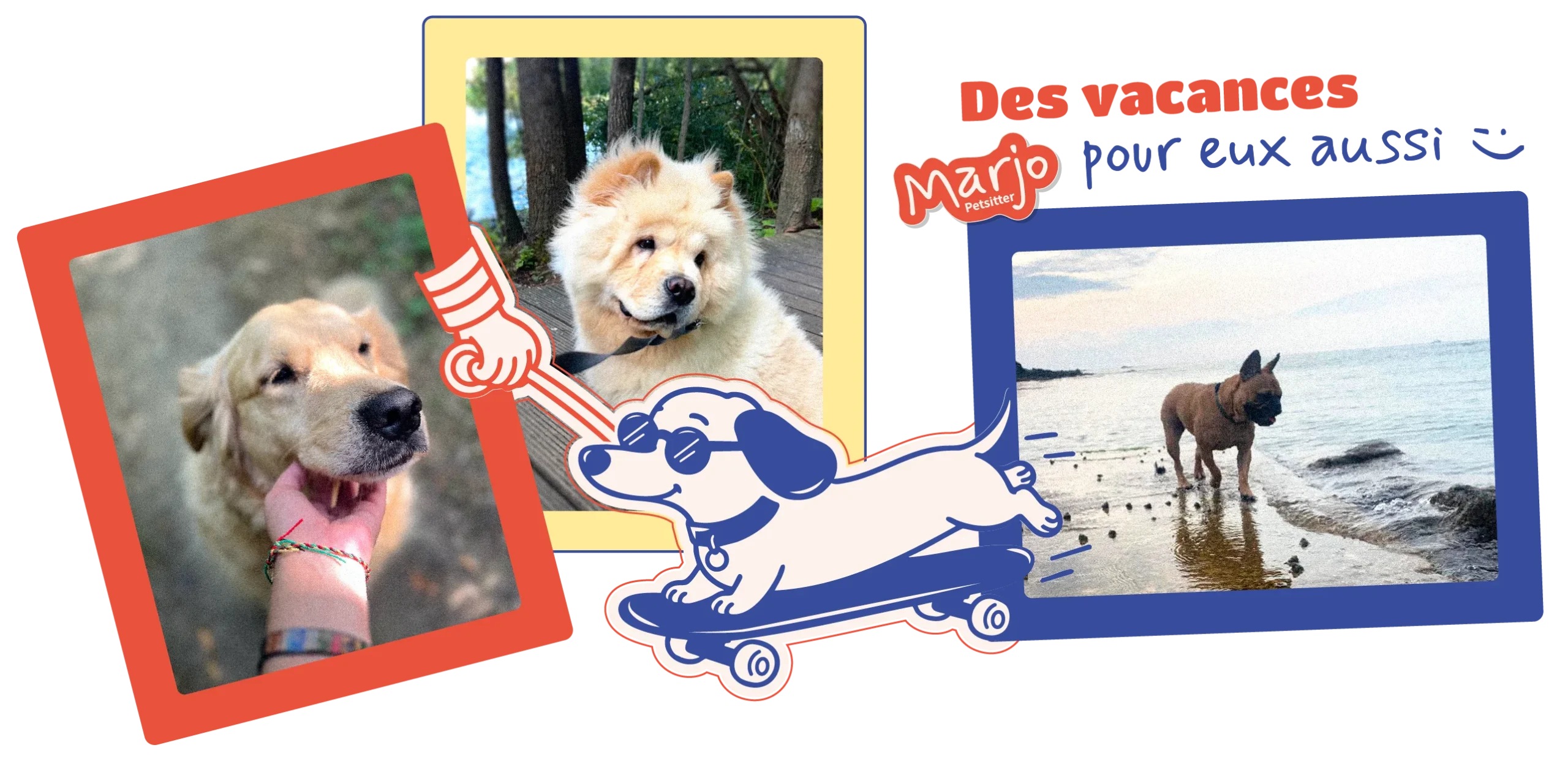 Marjo-petsiter_petsitter-chien-saint-malo